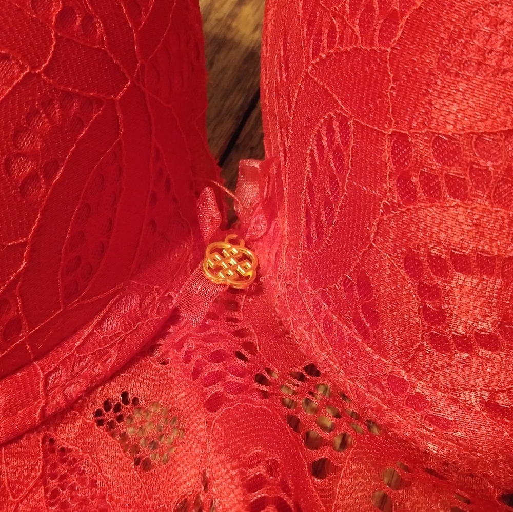 Daisy Fuentes Intimates Long line Lace Push Up Bra Hot Sauce Red - Picture 13 of 13